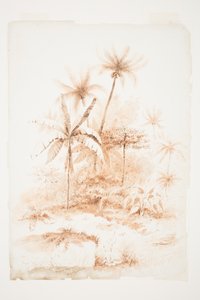 Tropisk vegetation, Loyalitetsøer